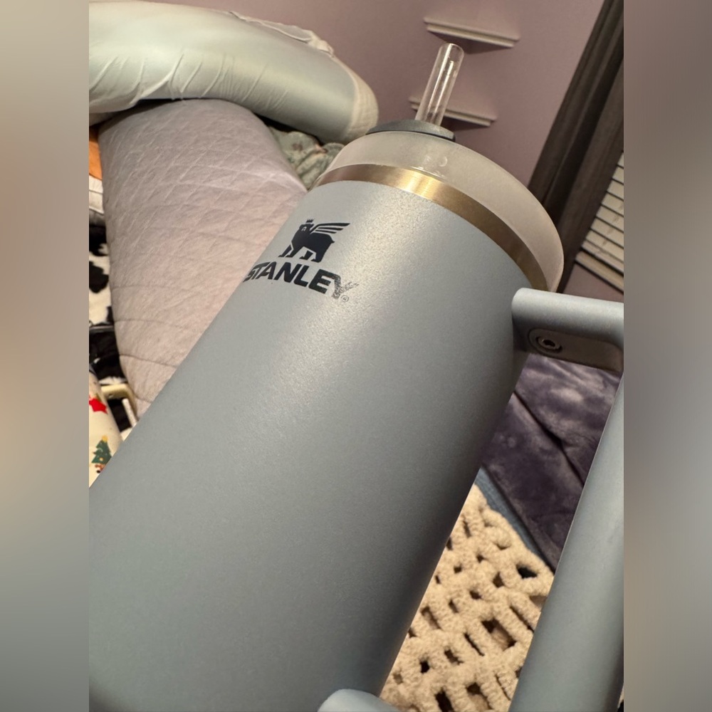 Blue Stanley - image 2